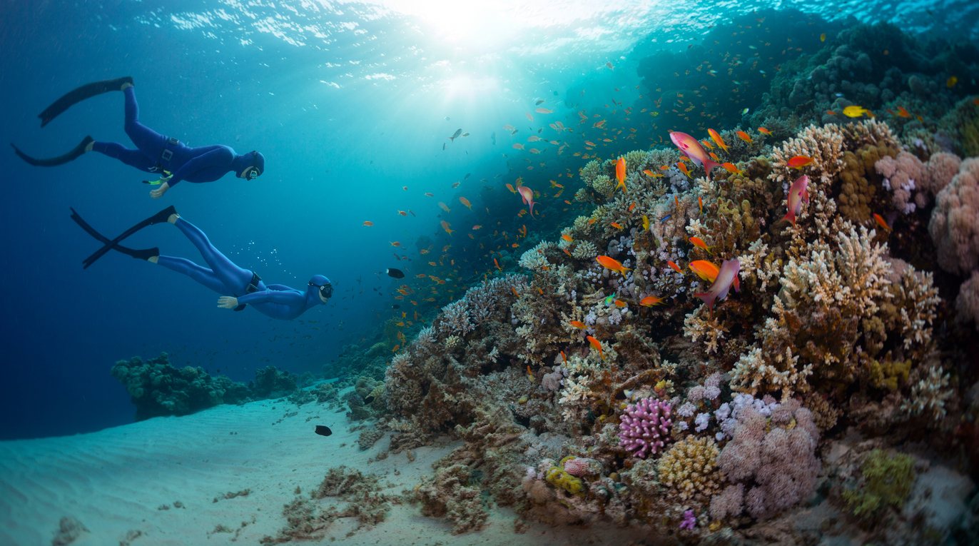 what is underwater diving