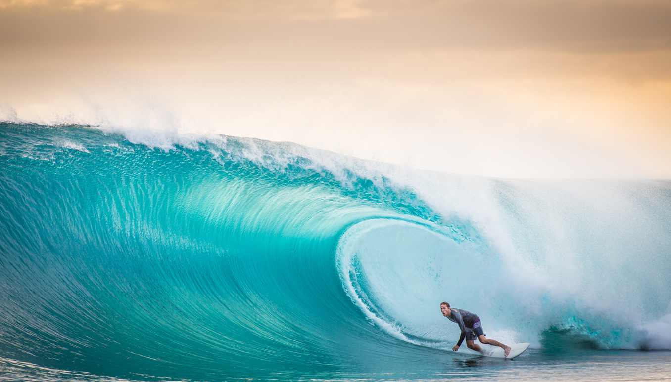 what is surfing