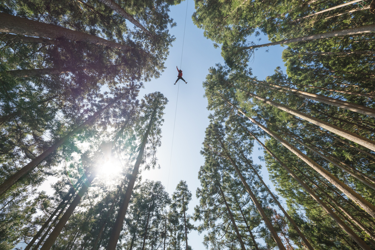 zip lining equipment list