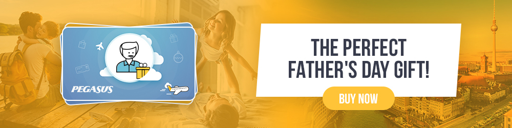 father's day gift