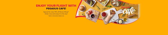 Pegasus Airlines