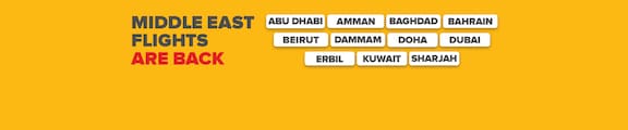 Pegasus Airlines