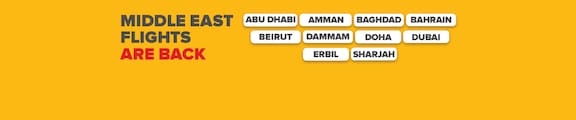 Pegasus Airlines
