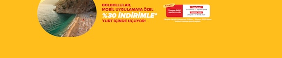 Pegasus Havayolları