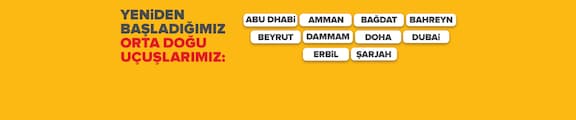Pegasus Airlines
