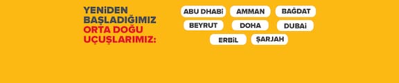 Pegasus Airlines