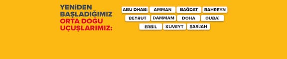 Pegasus Airlines