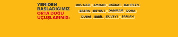 Pegasus Airlines