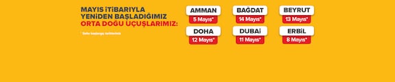 Pegasus Airlines