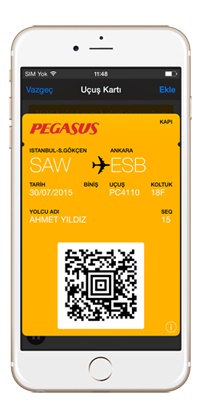 Pegasus airlines check in