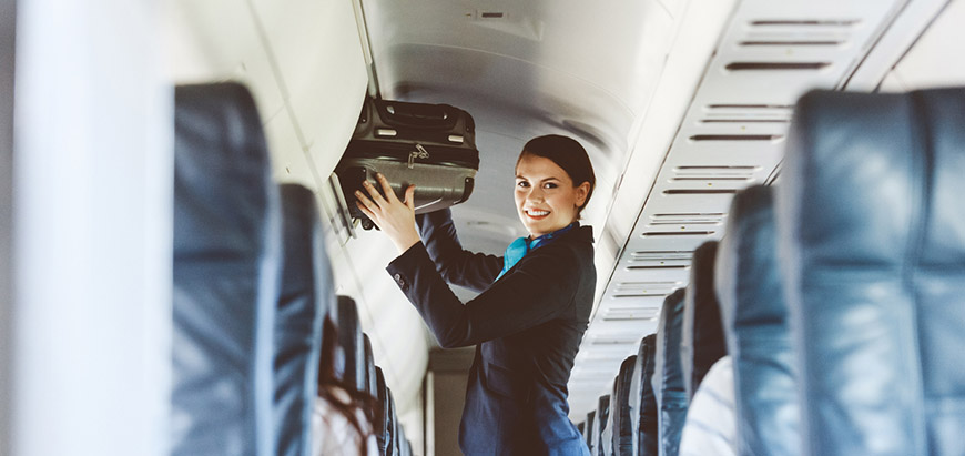 Flight Attendant