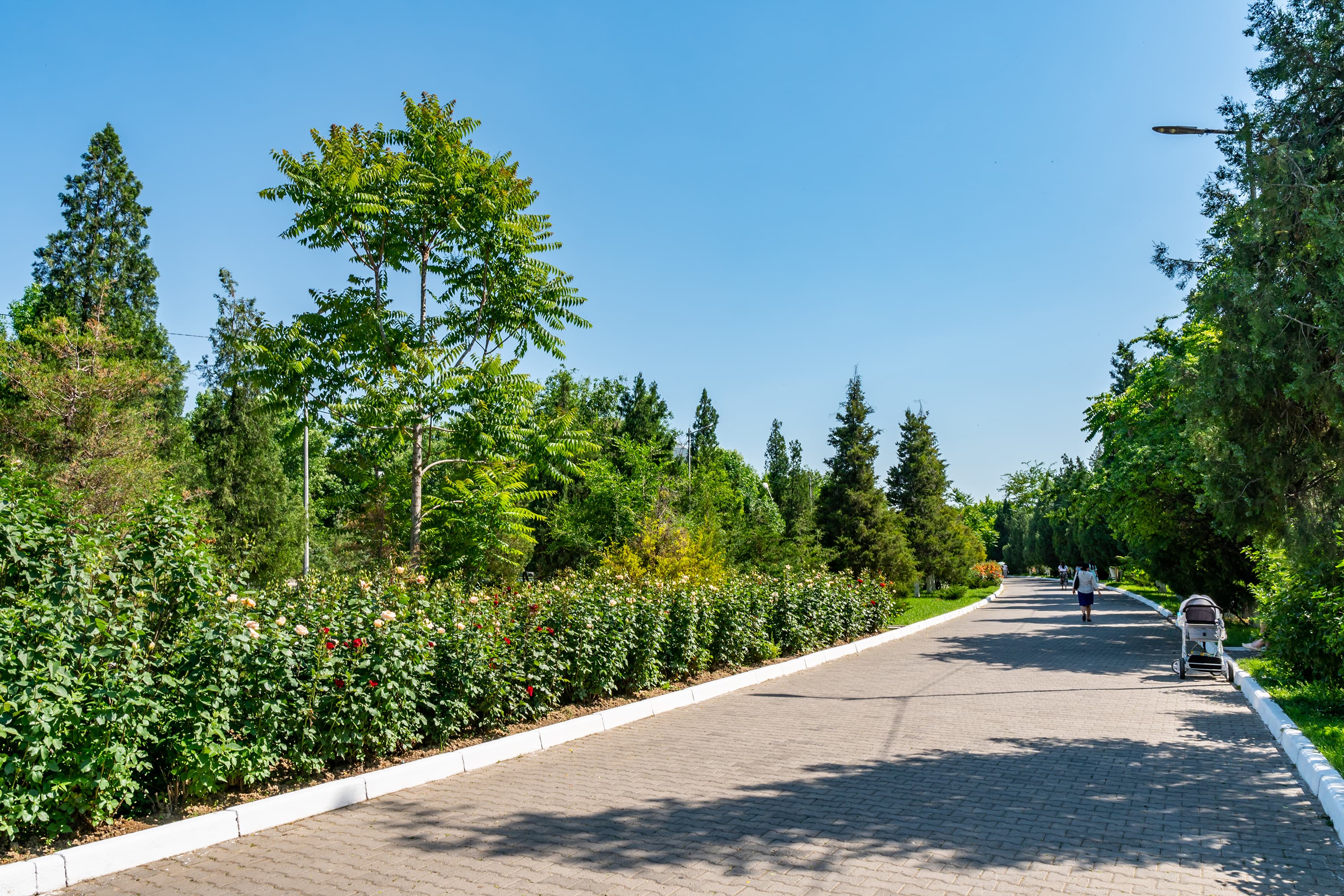 Çimkent abay parkı