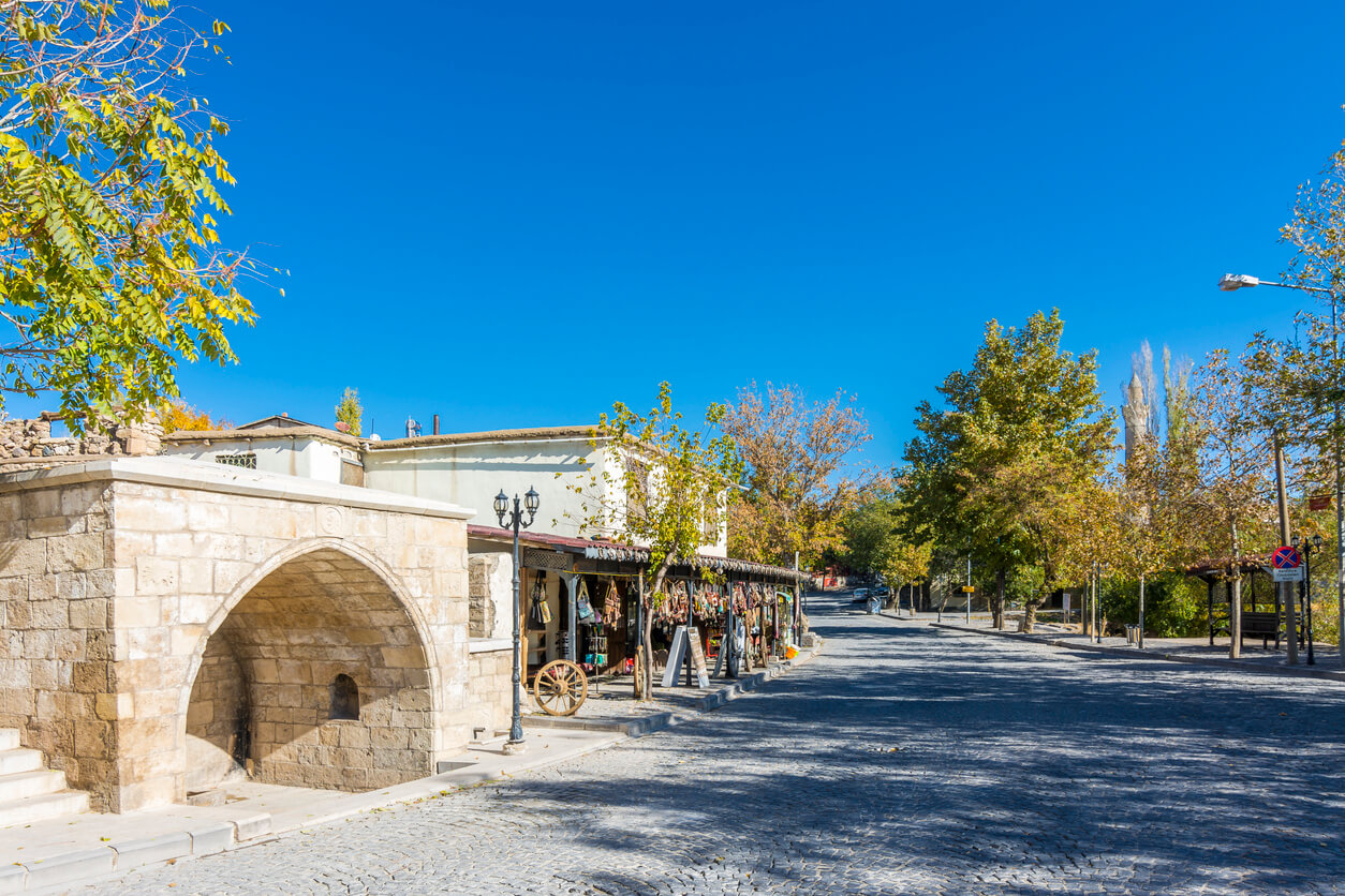 Elazığ İzzet Paşa