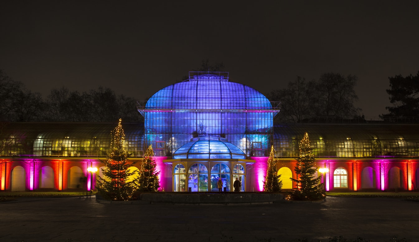 Frankfurt Palmengarten