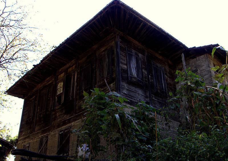 Hopa old house