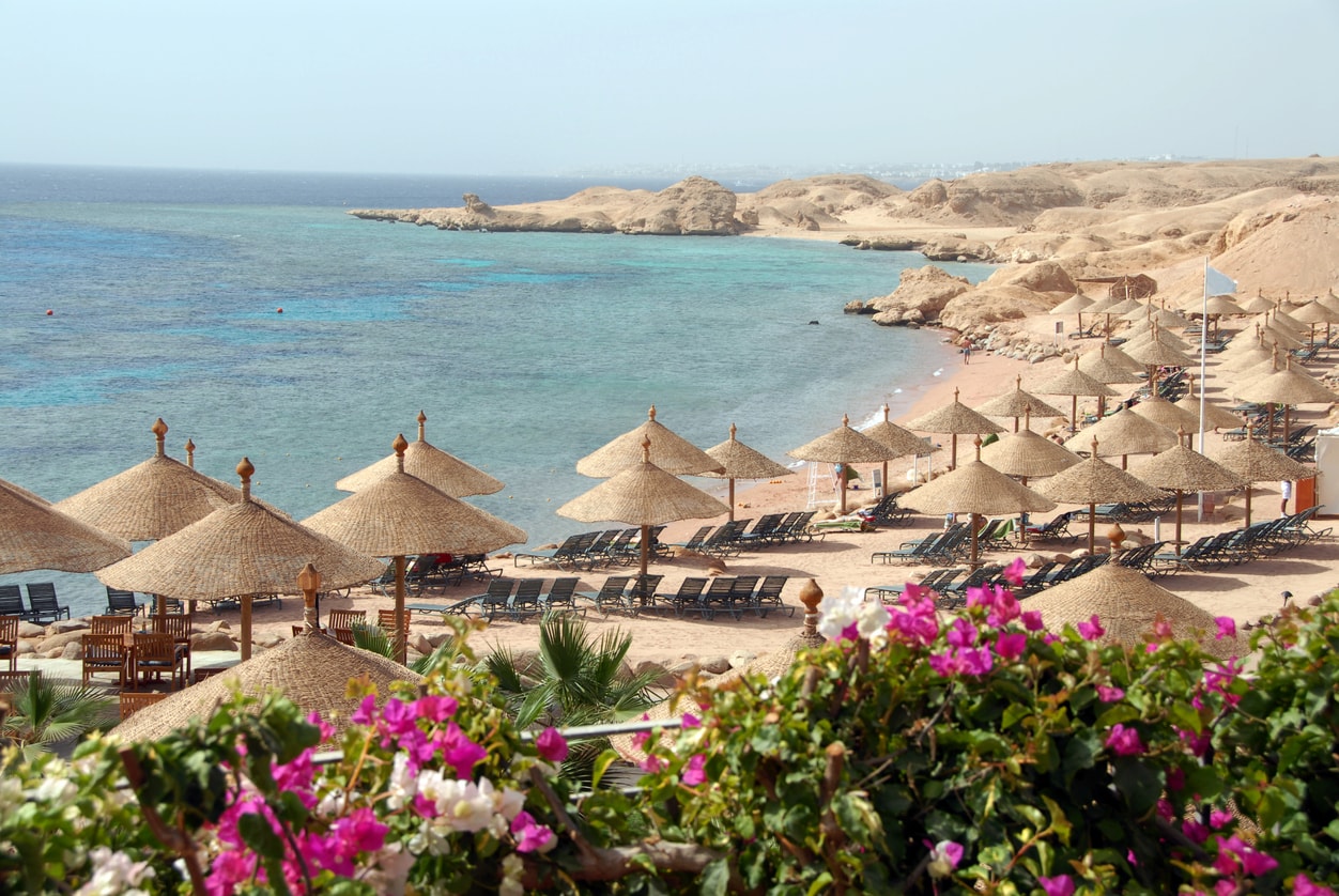 sharm el sheikh tourist numbers