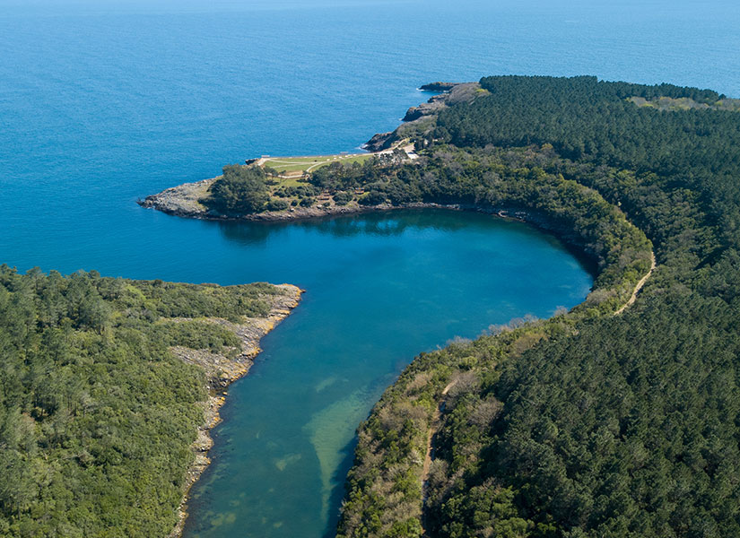 Sinop Hamsilos