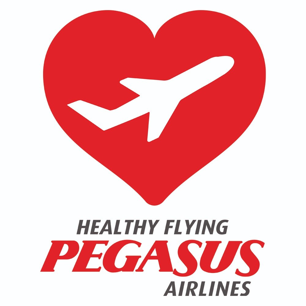 Pegasus Air Logo Pegasus Airlines PC Gep ckregeln Und Pegasus Air Logo Pegasus Airlines PC Gep ckregeln Und