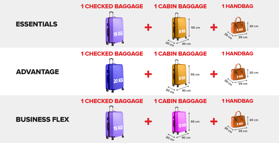 pegasus hand baggage size