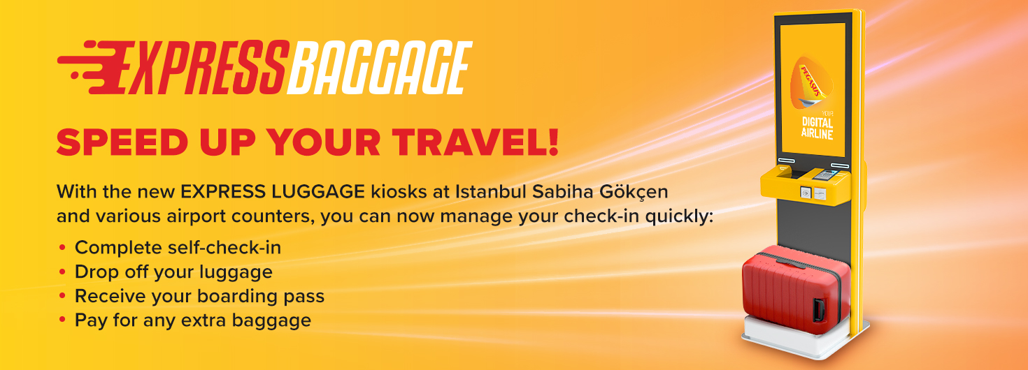 Online check in baggage on sale