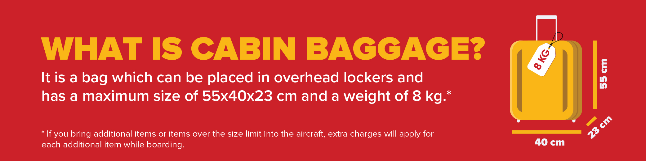 cabin baggage